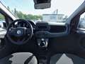 Fiat Panda PANDINA Weiß - thumbnail 8