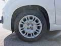 Fiat Panda PANDINA Weiß - thumbnail 11