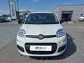 Fiat Panda PANDINA Weiß - thumbnail 2
