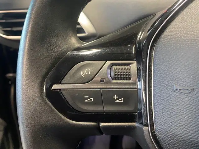 Peugeot 3008 view 13