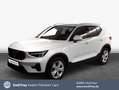 Volvo XC40 XC40 B3 B DKG Core Blanco - thumbnail 1