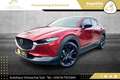 Mazda CX-30 e-Skyactive G122 Homura Aut. 2WD // 1.BESITZ // Rot - thumbnail 1