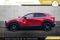 Mazda CX-30 e-Skyactive G122 Homura Aut. 2WD // 1.BESITZ // Rot - thumbnail 13