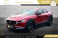 Mazda CX-30 e-Skyactive G122 Homura Aut. 2WD // 1.BESITZ // Rot - thumbnail 11
