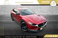 Mazda CX-30 e-Skyactive G122 Homura Aut. 2WD // 1.BESITZ // Rot - thumbnail 7