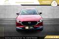Mazda CX-30 e-Skyactive G122 Homura Aut. 2WD // 1.BESITZ // Rot - thumbnail 19