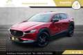Mazda CX-30 e-Skyactive G122 Homura Aut. 2WD // 1.BESITZ // Rot - thumbnail 21