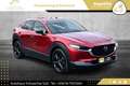 Mazda CX-30 e-Skyactive G122 Homura Aut. 2WD // 1.BESITZ // Rot - thumbnail 20