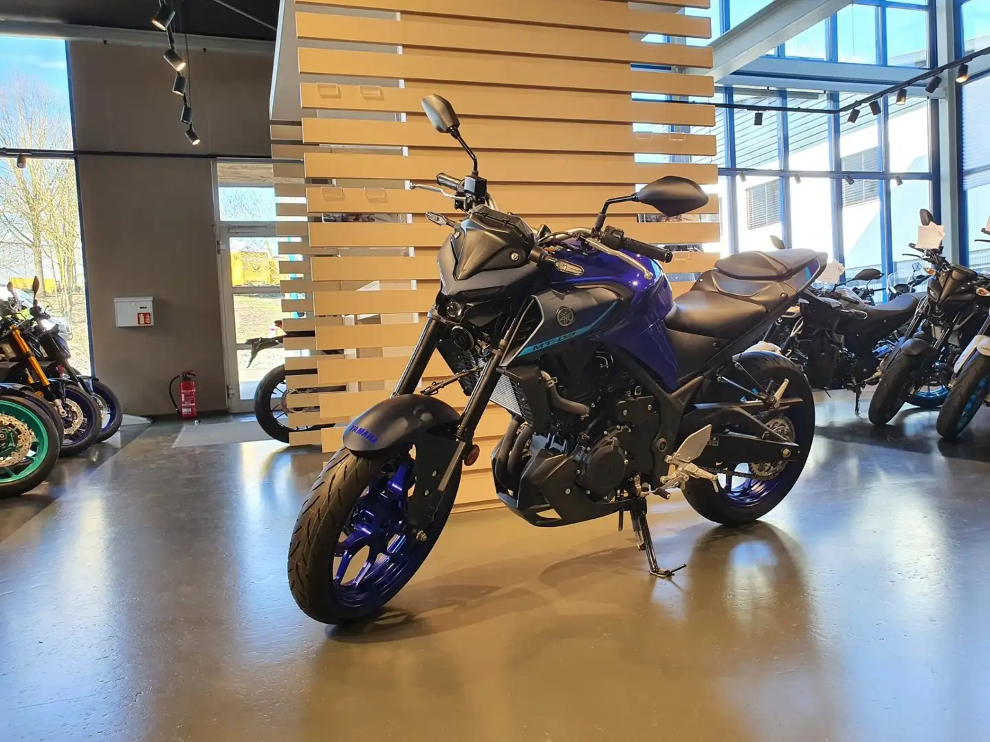 Yamaha MT-03 E5 2024 - 2