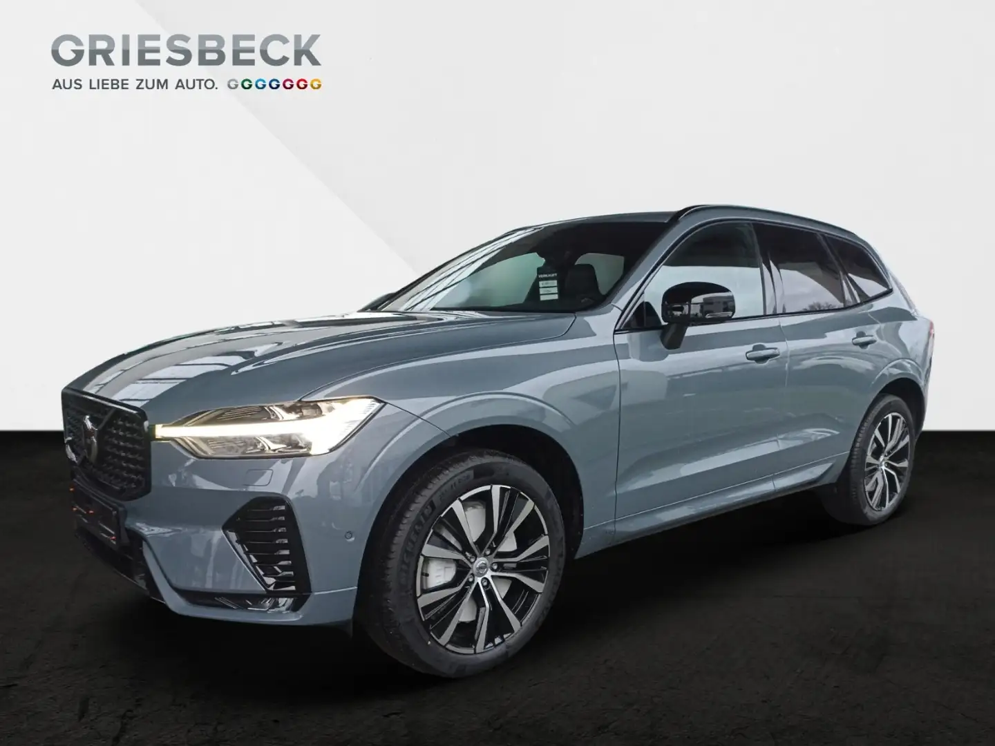 Volvo XC60 Plus Dark 360° H&K LED 20'' Grau - 1