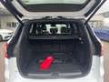 Ford Kuga 1.5 EcoBoost 4x4 ST-LINE+AHK+PANO+KAM+NAVI Bianco - thumbnail 16