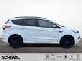 Ford Kuga 1.5 EcoBoost 4x4 ST-LINE+AHK+PANO+KAM+NAVI Bianco - thumbnail 6