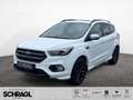Ford Kuga 1.5 EcoBoost 4x4 ST-LINE+AHK+PANO+KAM+NAVI Bianco - thumbnail 1