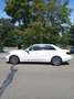 Mercedes-Benz E 220 E 220 BlueTEC BlueEFFICIENCY Edition Edition E Weiß - thumbnail 2