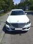 Mercedes-Benz E 220 E 220 BlueTEC BlueEFFICIENCY Edition Edition E Weiß - thumbnail 1