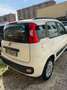 Fiat Panda PANDA 1.2 BENZINA 69CV LOUNGE PERFETTA 3890943471 Bianco - thumbnail 2