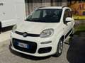 Fiat Panda PANDA 1.2 BENZINA 69CV LOUNGE PERFETTA 3890943471 Bianco - thumbnail 5