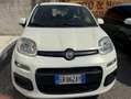 Fiat Panda PANDA 1.2 BENZINA 69CV LOUNGE PERFETTA 3890943471 Bianco - thumbnail 6