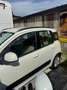 Fiat Panda PANDA 1.2 BENZINA 69CV LOUNGE PERFETTA 3890943471 Bianco - thumbnail 4