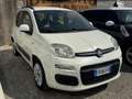Fiat Panda PANDA 1.2 BENZINA 69CV LOUNGE PERFETTA 3890943471 Bianco - thumbnail 1