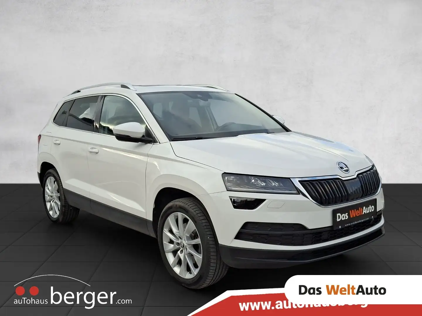 Skoda Karoq 4x4 Style Limited TDI Weiß - 1