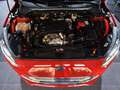 Ford Focus Sportbreak 1.5Ecoblue Titanium Rouge - thumbnail 16