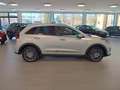 Kia e-Niro Niro EV 64kWh long Range Gold *Navi*Klima*Sitzh... Silber - thumbnail 6