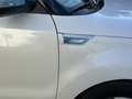 Kia Soul Eco Electric 110cv  📱📱392 452 1080 - thumbnail 6
