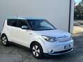 Kia Soul Eco Electric 110cv  📱📱392 452 1080 - thumbnail 3