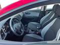 SEAT Leon Leon Diesel  5-Türer 1.6 TDI DPF Start Rot - thumbnail 6