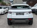 Land Rover Range Rover Evoque 2.2 TD4 Aut. Allrad NUR 89.000 KM TÜV NEU Weiß - thumbnail 5