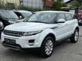 Land Rover Range Rover Evoque 2.2 TD4 Aut. Allrad NUR 89.000 KM TÜV NEU Weiß - thumbnail 3