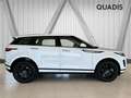 Land Rover Range Rover Evoque 2.0D I4 MHEV SE AWD Aut. 163 Weiß - thumbnail 4