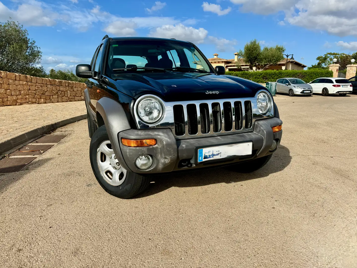 Jeep Cherokee Cherokee 2.4i Sport Negro - 2