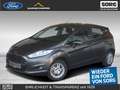 Ford Fiesta 1.0 EcoBoost Titanium*KAMERA* Grau - thumbnail 1