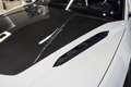 Lamborghini Urus Performante Weiß - thumbnail 32