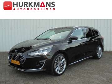 1.0 HYBRID 125PK VIGNALE PANODAK LEER ENZ