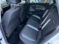Volkswagen Polo 1.4 TDI BMT Cross 66kW Blanco - thumbnail 10