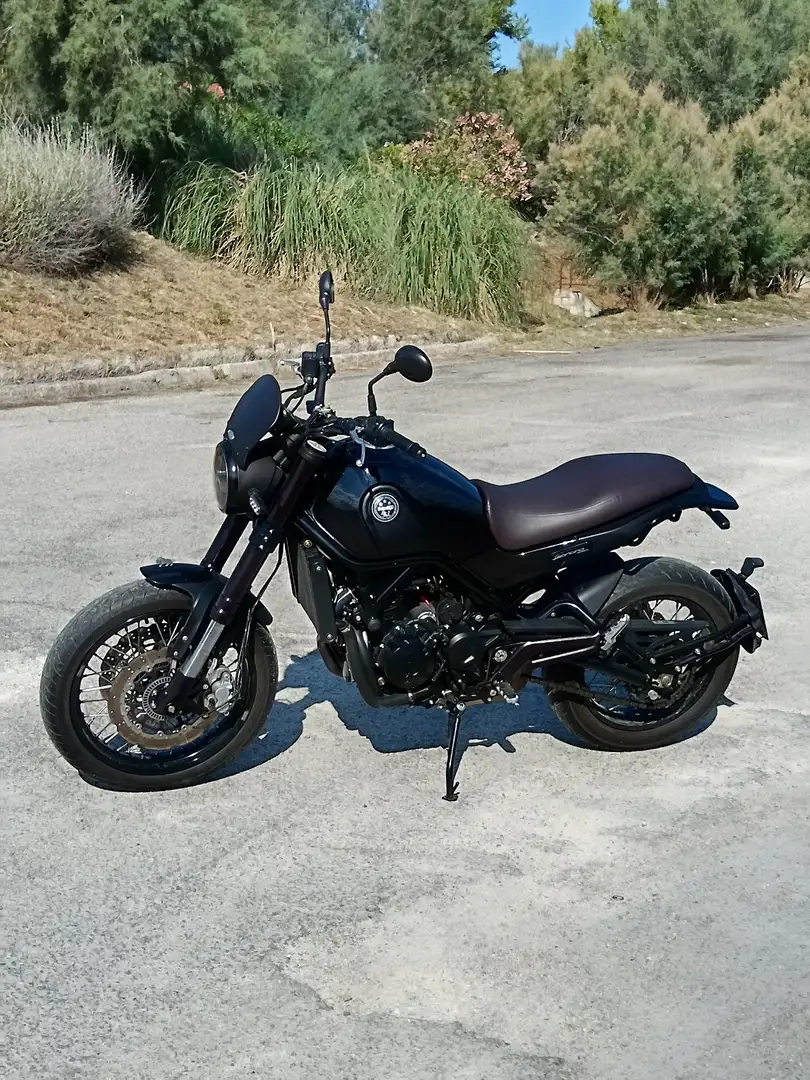 Benelli Leoncino Nero - 2
