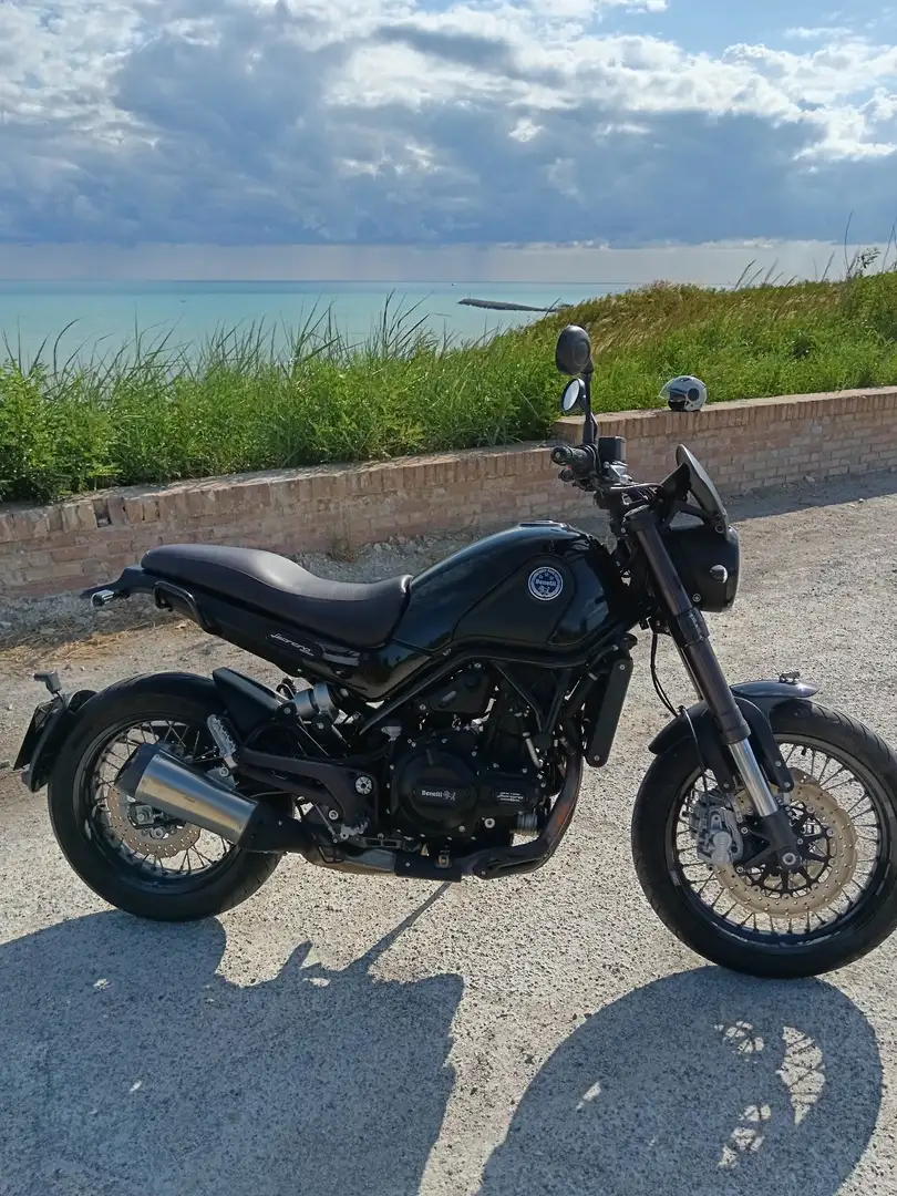Benelli Leoncino Nero - 1