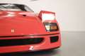 Ferrari F40 cat - Prezzo netto export Rot - thumbnail 16