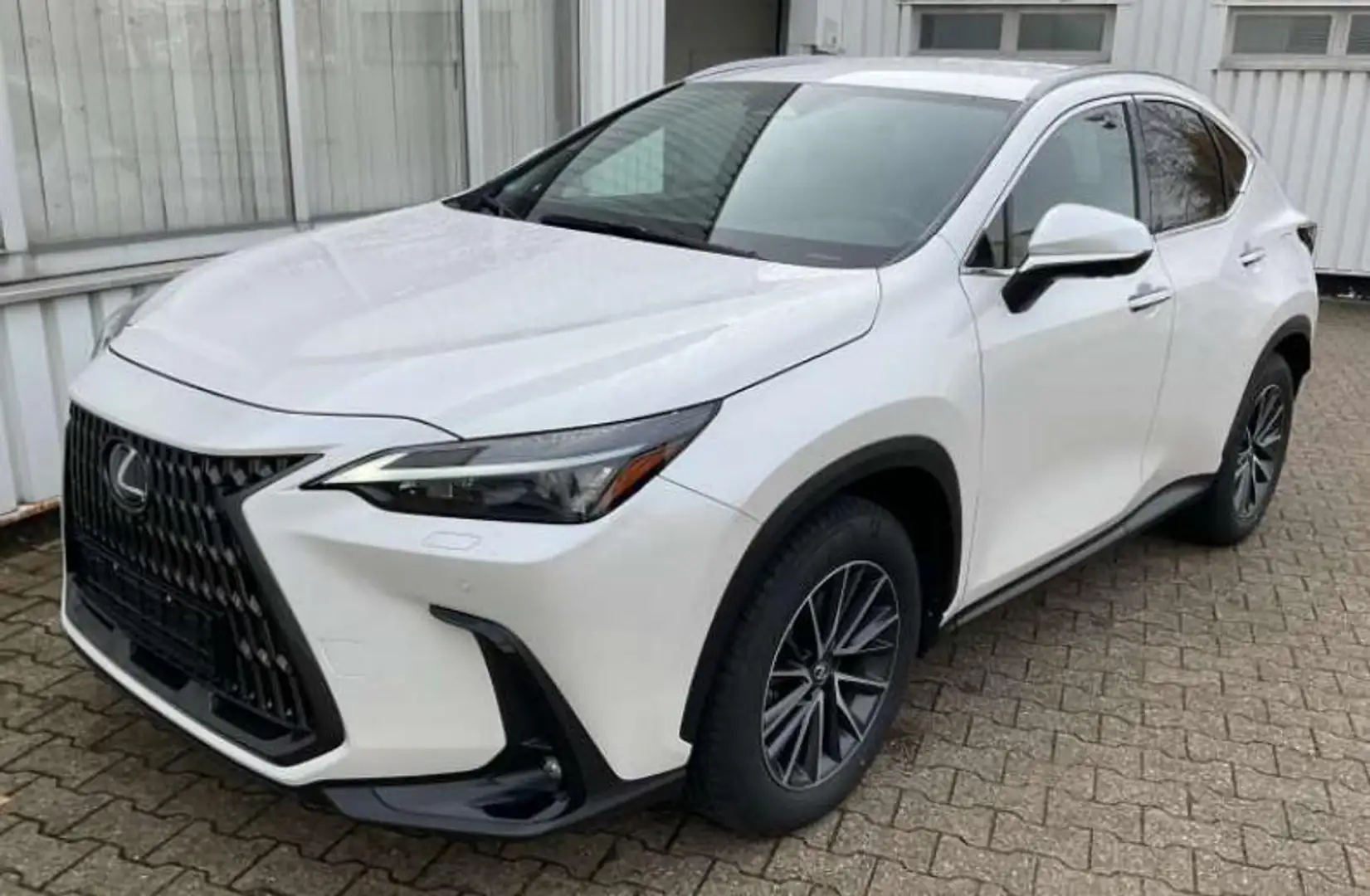 Lexus NX 350h Executive Line Bianco - 2