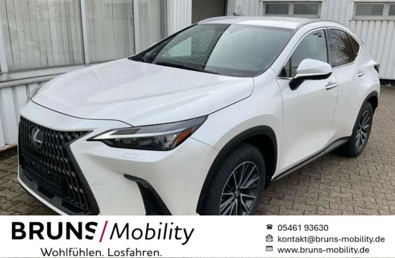 Lexus NX 350h Executive Line Bianco - 1