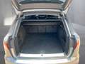Audi A4 40 TDI quattro S line Grau - thumbnail 13