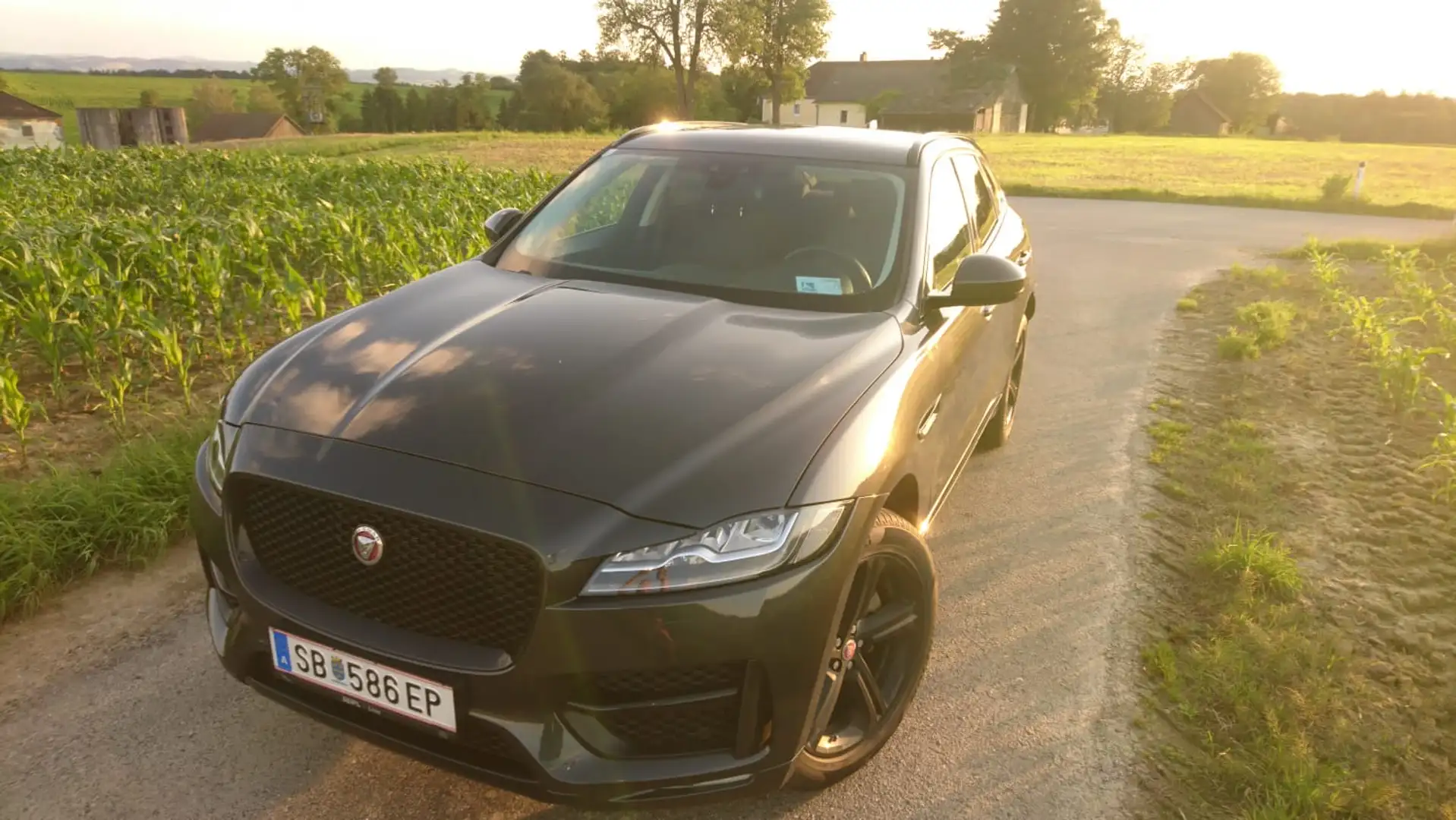Jaguar F-Pace F-Pace 25d AWD R-Sport Aut. R-Sport - 1