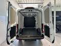 Ford Transit Transit Kasten 2,0 EcoBlue L2H2 350 Trend Weiß - thumbnail 10
