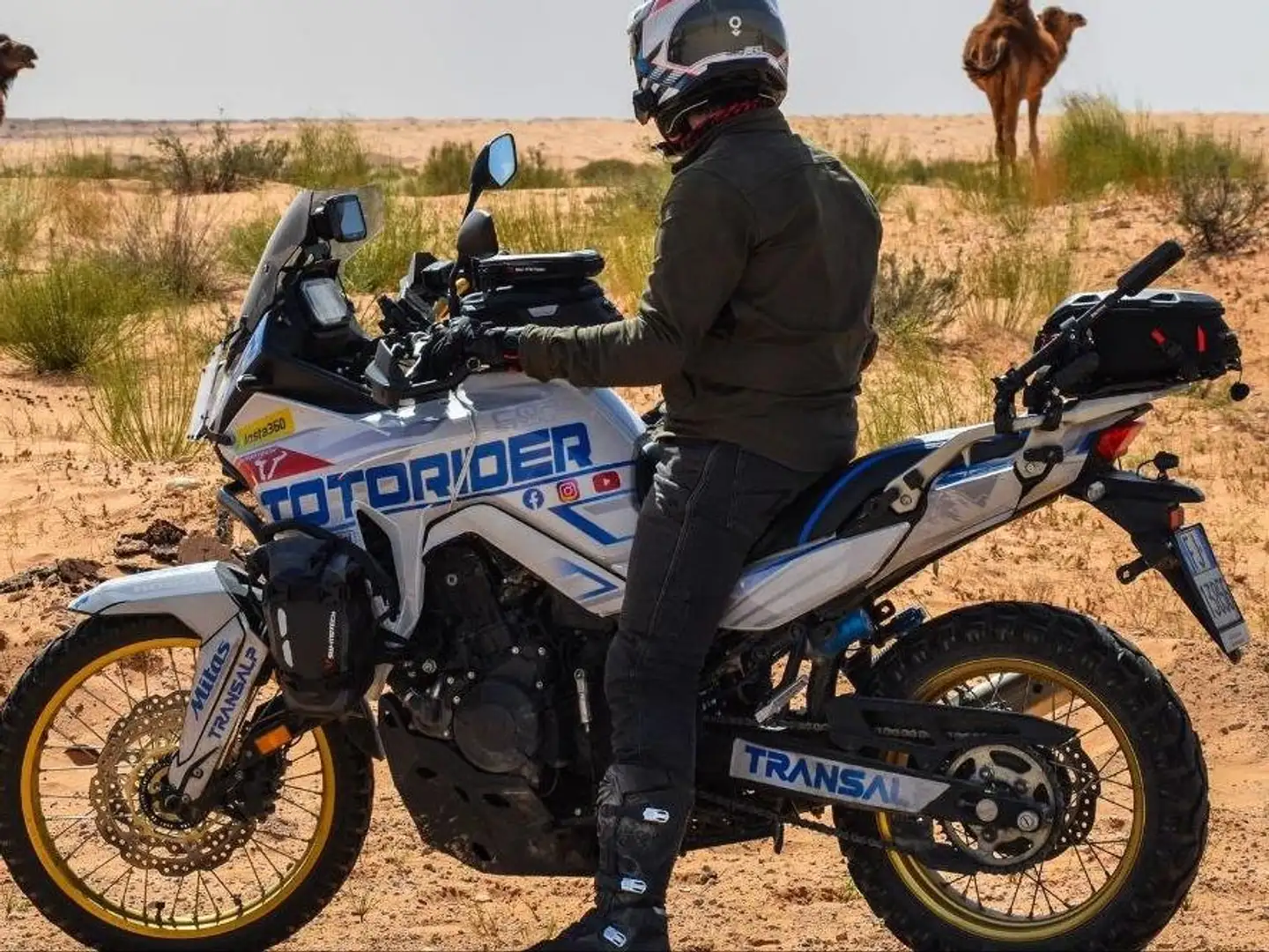 Honda XL 750 Transalp Bianco - 1