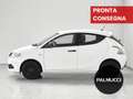 Lancia Ypsilon Ypsilon 1.2 69 CV 5 porte GPL Ecochic Elefantino - thumbnail 4