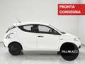 Lancia Ypsilon Ypsilon 1.2 69 CV 5 porte GPL Ecochic Elefantino - thumbnail 5