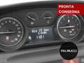 Lancia Ypsilon Ypsilon 1.2 69 CV 5 porte GPL Ecochic Elefantino - thumbnail 8